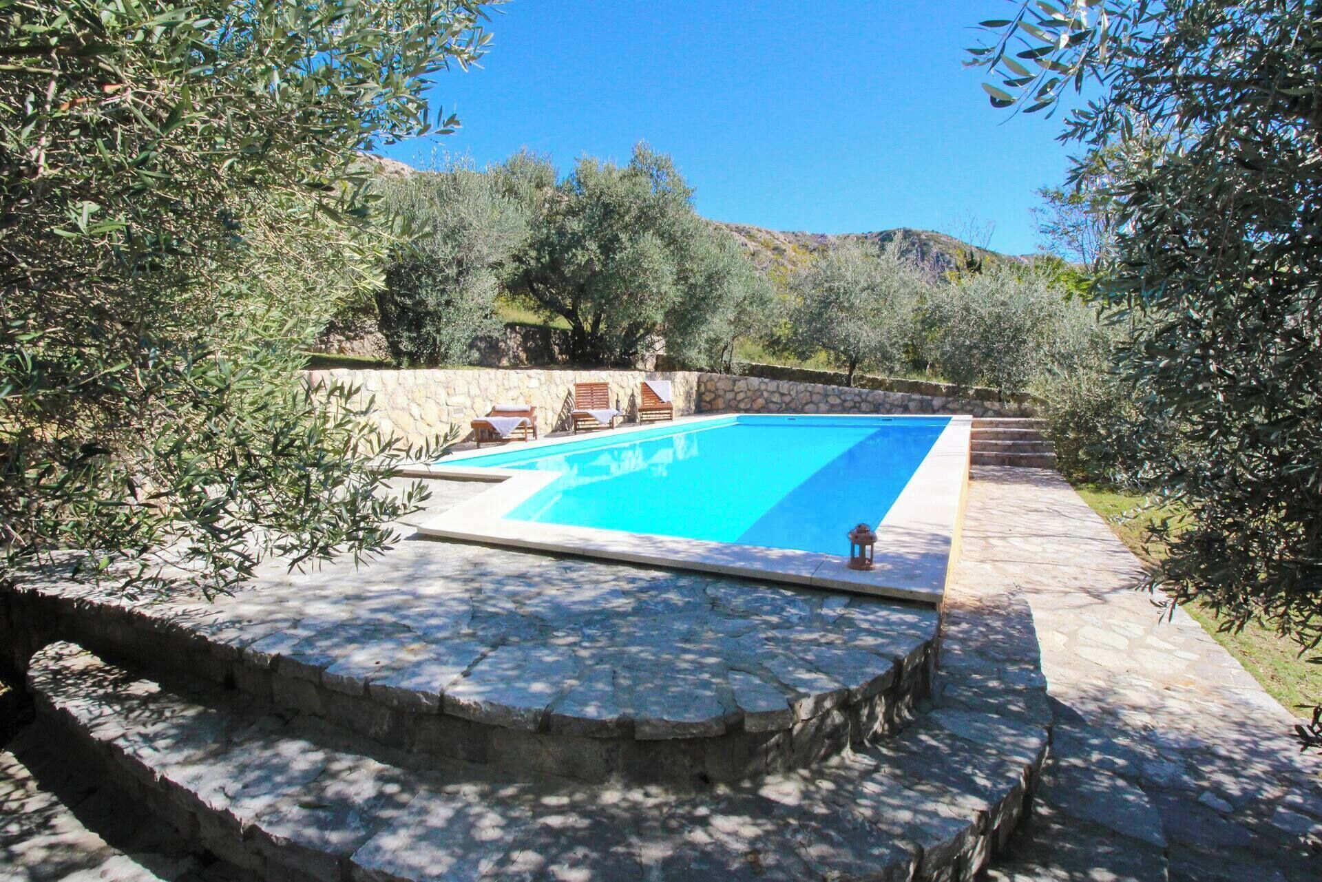 Ein rechteckiger Swimmingpool mit einer Steindeckung, umgeben von einer angelegten Grünfläche mit Olivenbäumen und einer Steinmauer.