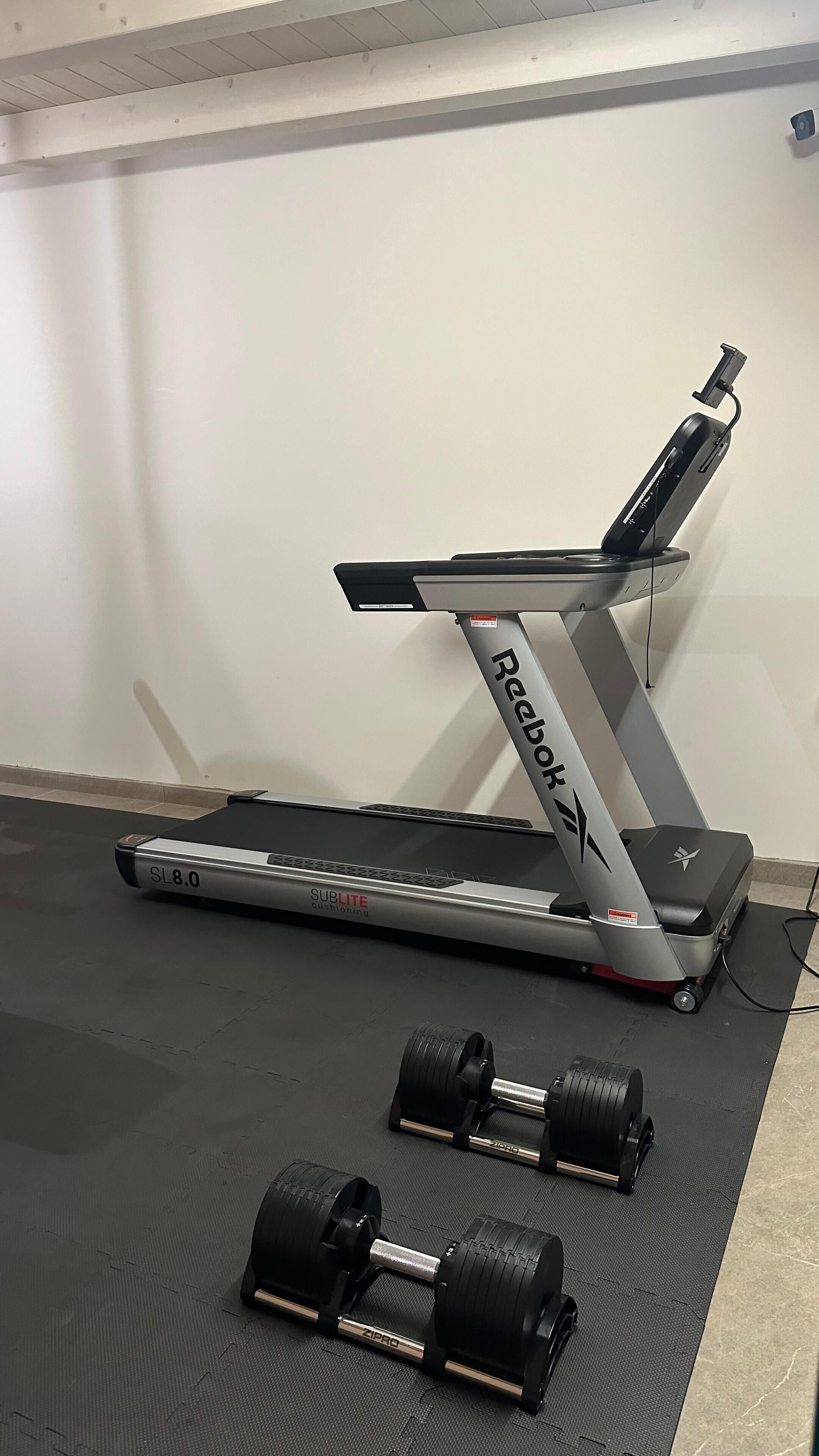 Et fitnessrum med en Reebok crosstrainer og to Zipro håndvægte på en sort måtte.