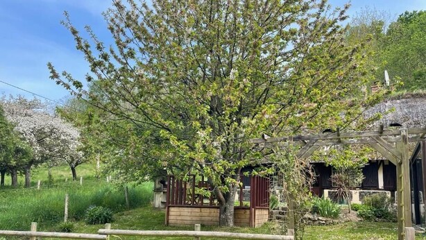 A rustic wooden house with a garden, a wooden fence, and a stone pathway. - Thatched cottage (Tourville-sur-Pont-Audemer)