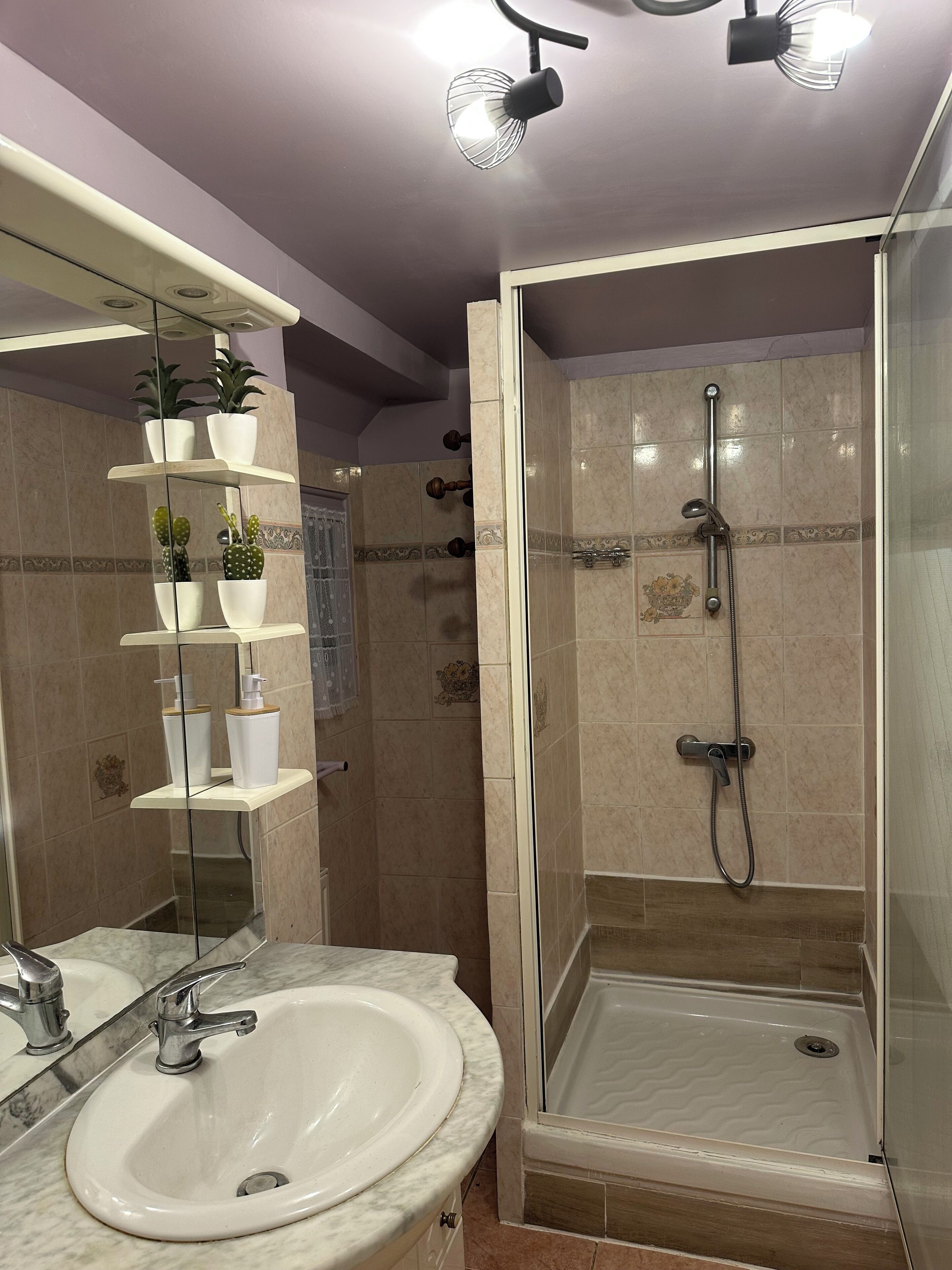 Sèche-cheveux, serviettes fournies, savon, papier toilette