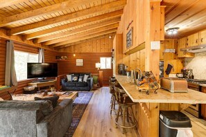 智能电视、DVD 播放器