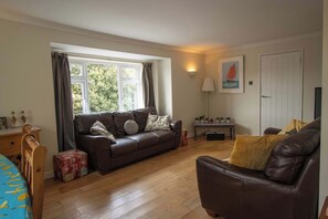 Fernseher, Arbeitsbereiche