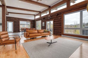 TV, fireplace, video games, stereo