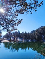 Lago