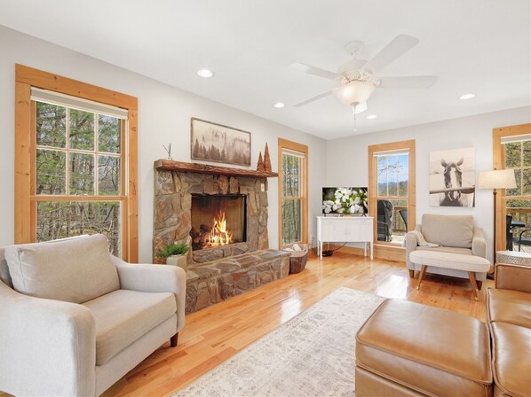 TV, fireplace, books