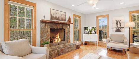 Televisie, een open haard en boeken