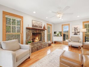 TV, fireplace, books