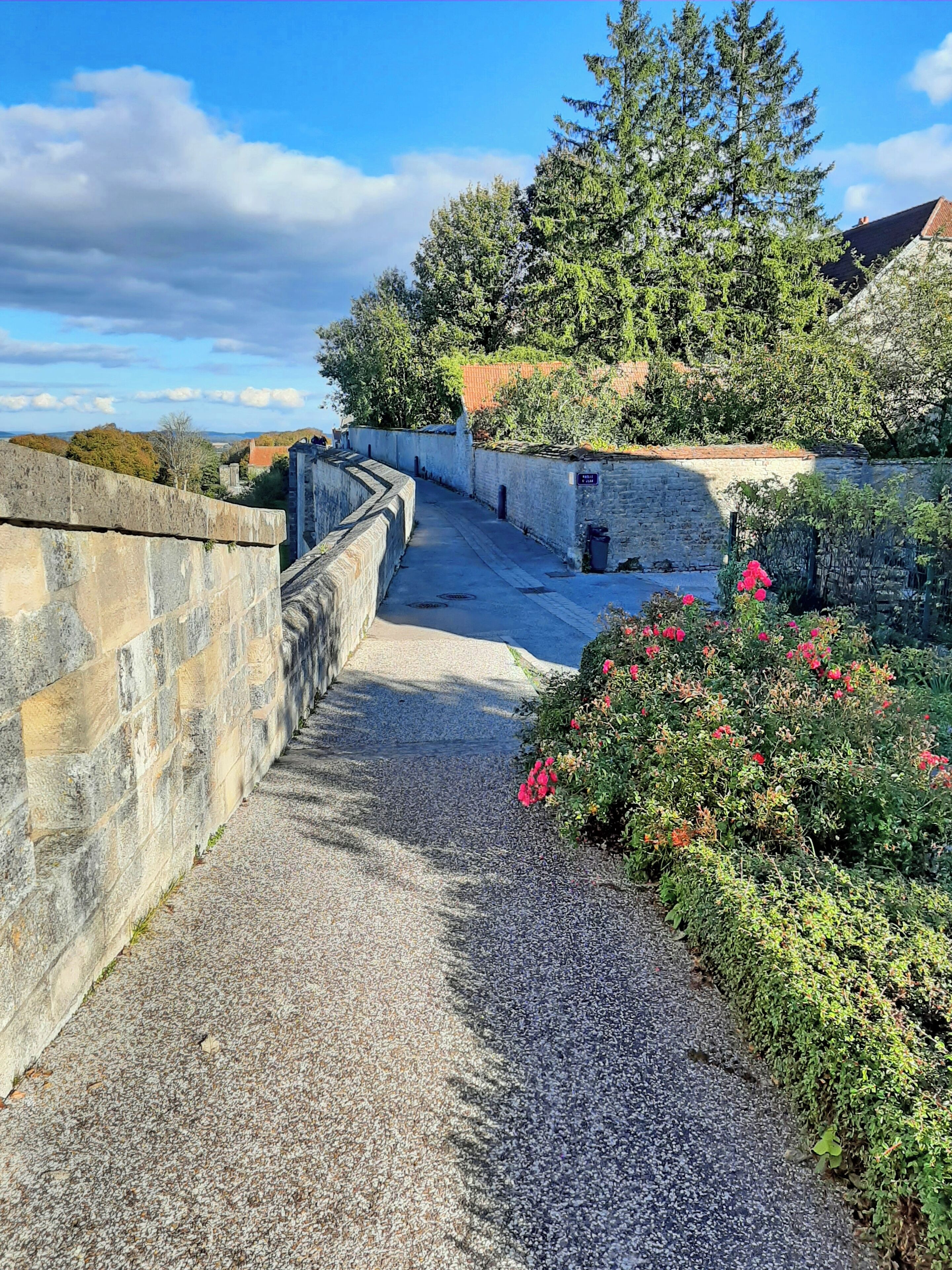 Ein Weg, gesäumt von Steinmauern, der zu einem Garten mit roten Blumen und einem großen Baum im Hintergrund führt.
