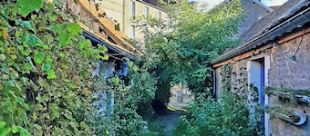 Charming apartment in the heart of the Cité