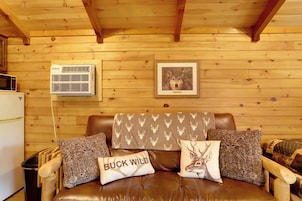 Interior de una cabaña de madera con un sofá de cuero, dos almohadas, un equipo de aire acondicionado y un cuadro en la pared.
