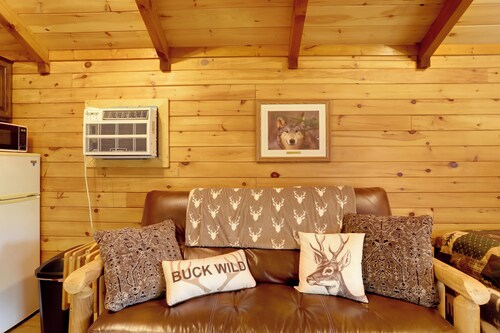 1 Mi to Current River: Cozy Studio Cabin!