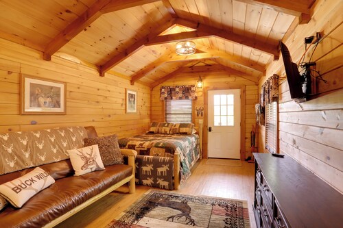 1 Mi to Current River: Cozy Studio Cabin!