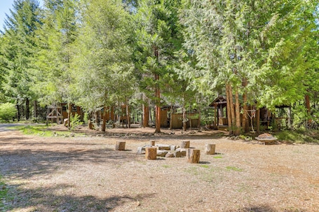 Interior. Nature-packed Mckenzie River Retreat w/ Trails!