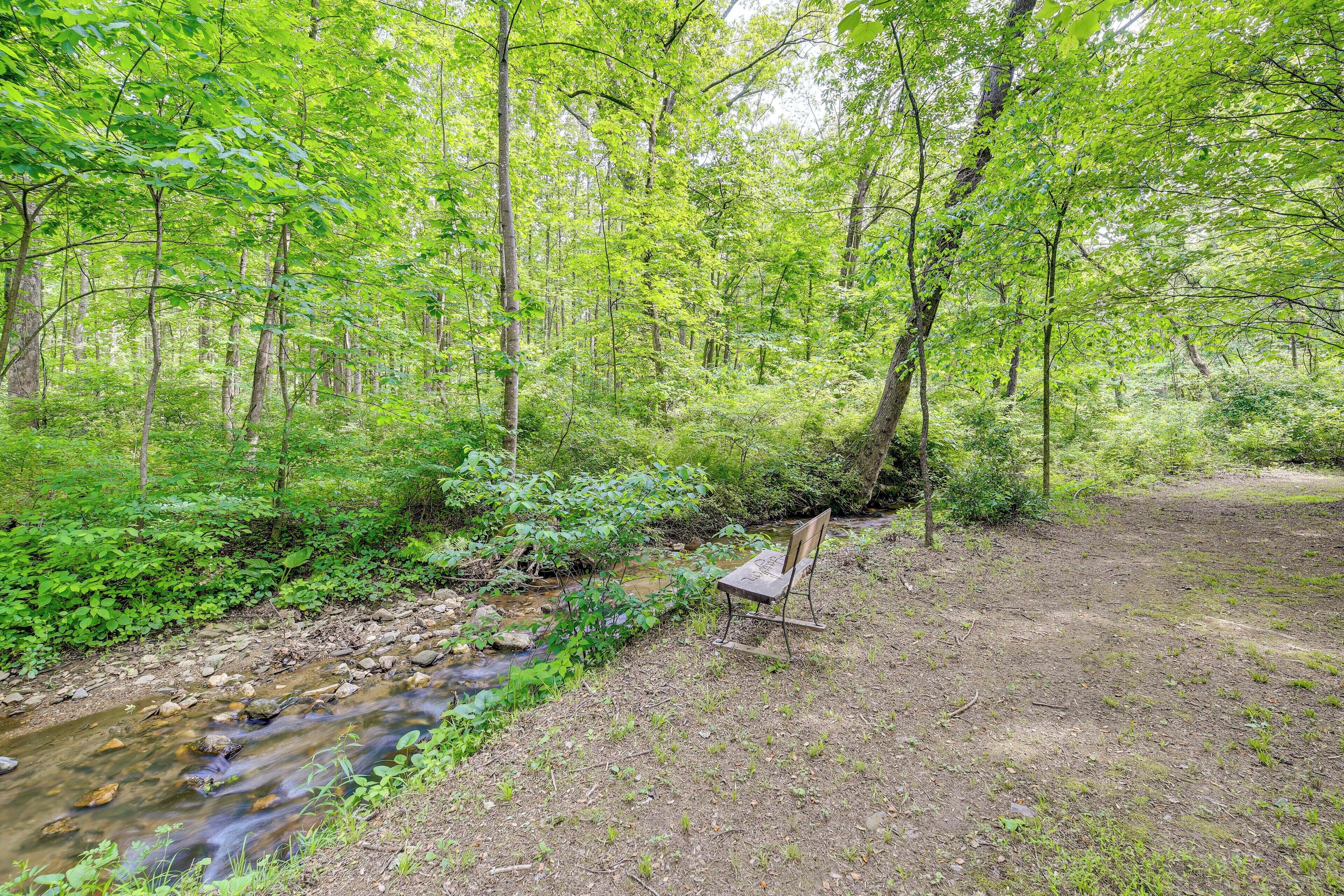 A forested area with a stream and a bench.