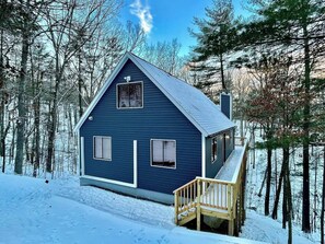 Exterior - Hot Tub Luxe Retreat - Game Room - Lake Laura - Bryce Resort (Basye)