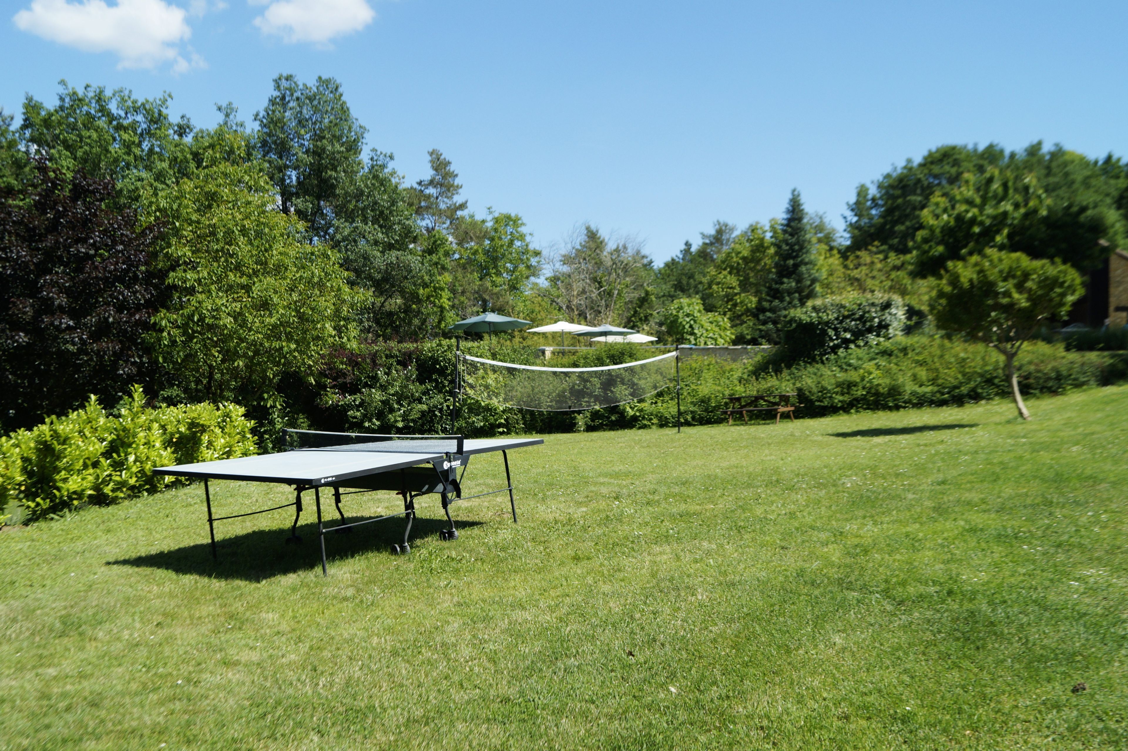 Ein Tischtennis-Tisch steht in einer grünen Umgebung, im Hintergrund Bäume und Büsche.