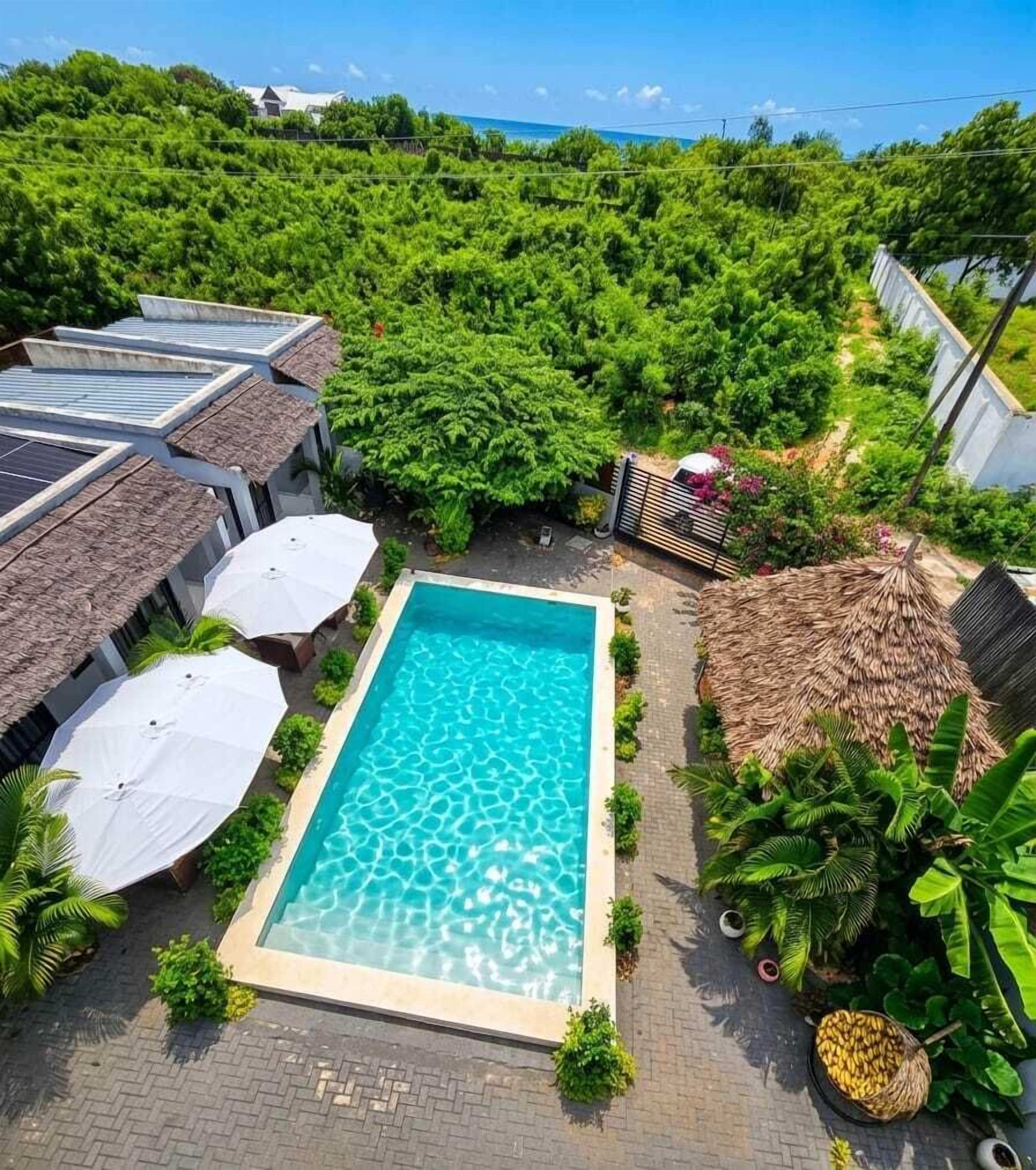 Una piscina en la azotea con vistas a abundante vegetación y un cielo despejado.