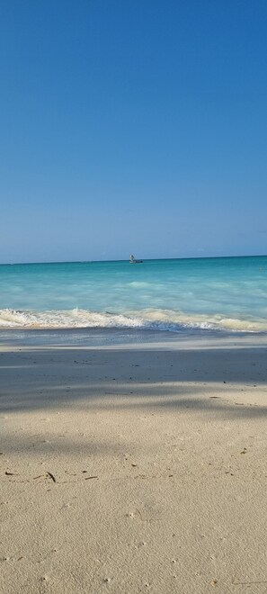 Beach - Terry's villa Nungwi (Nungwi)