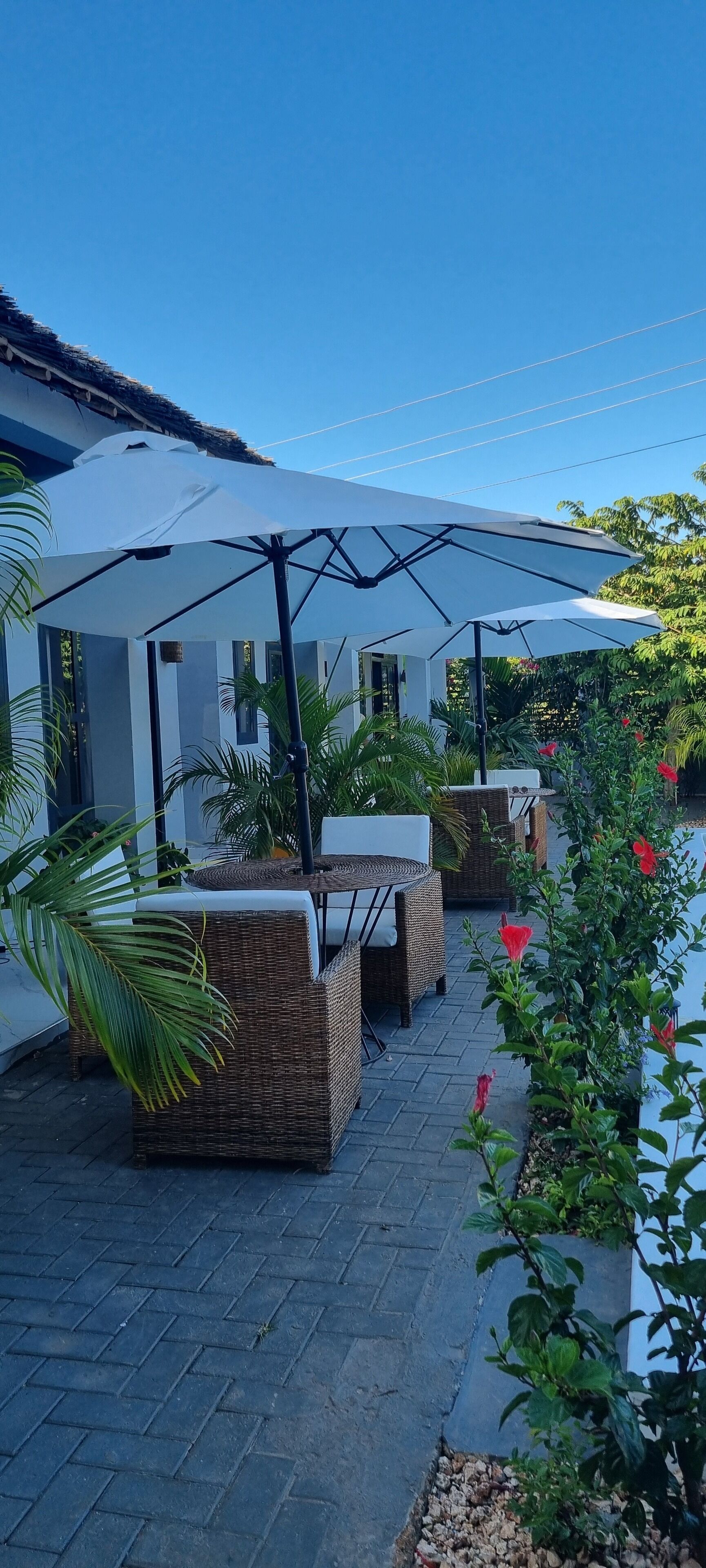 تناول الطعام بالخارج