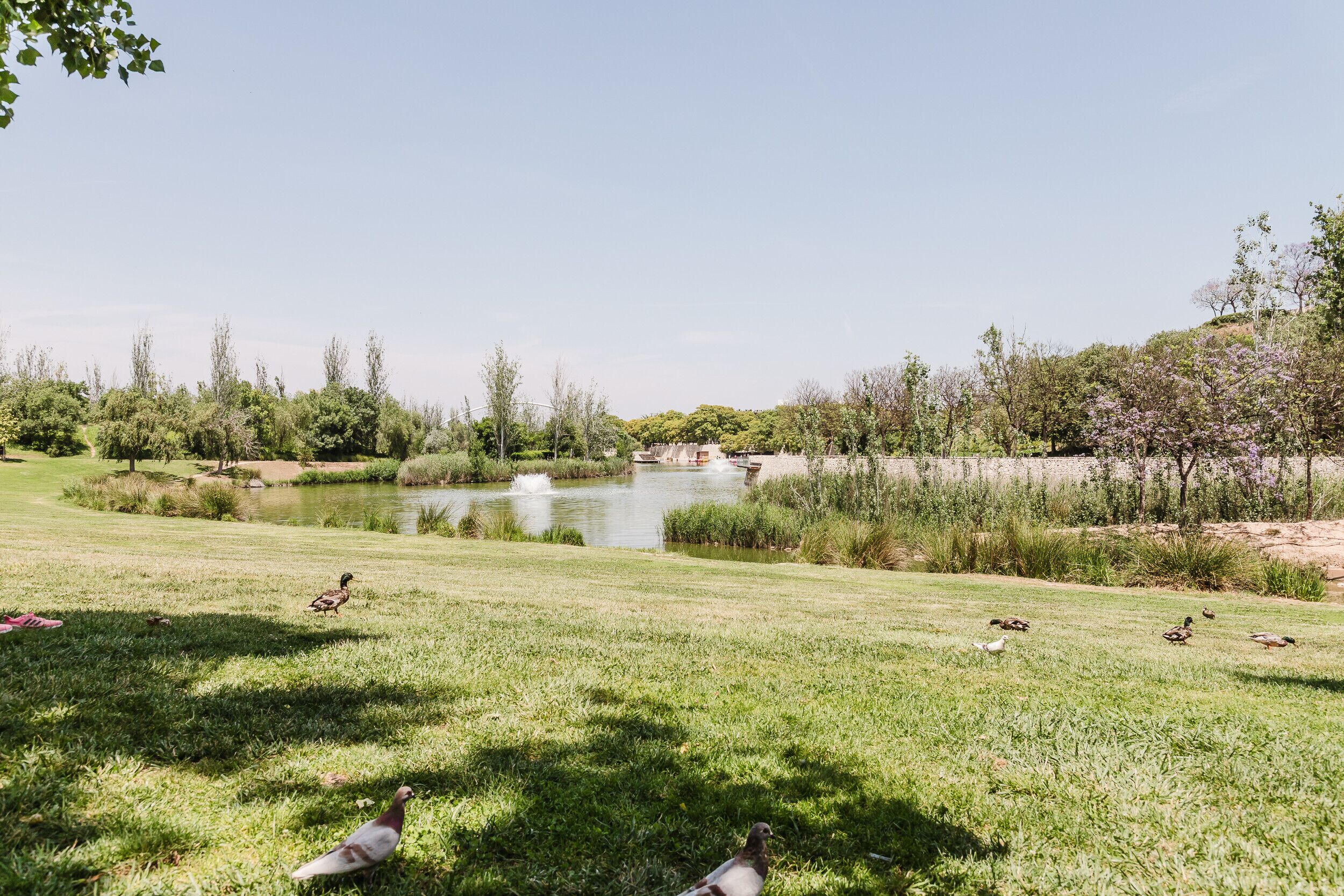 Terrein van de accommodatie