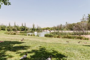 Jardines del alojamiento