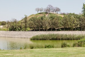 Jardines del alojamiento