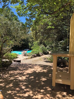 Um quintal com piscina, cercado por árvores e vegetação.