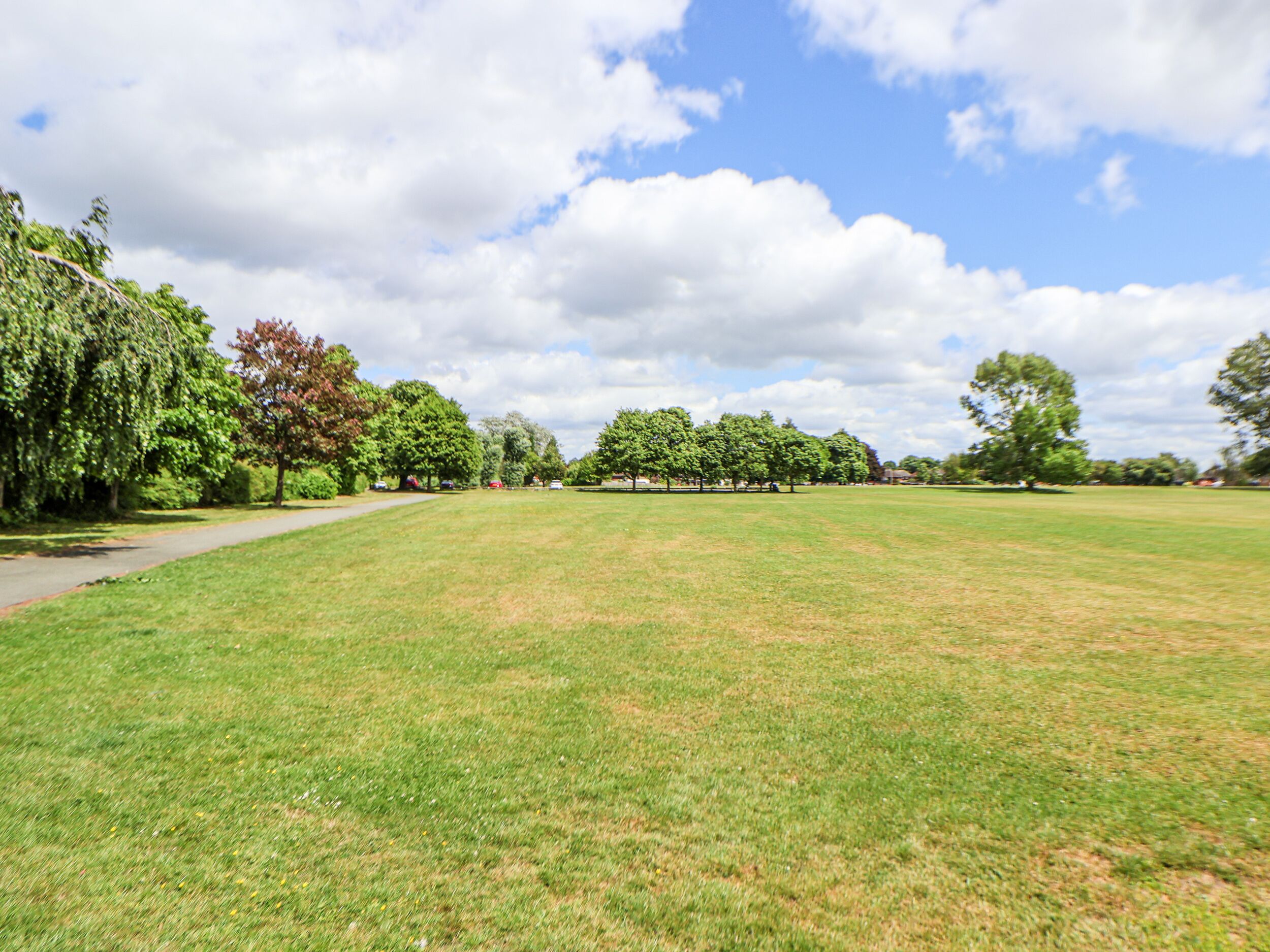 A park with a grassy field, trees, and a pathway.