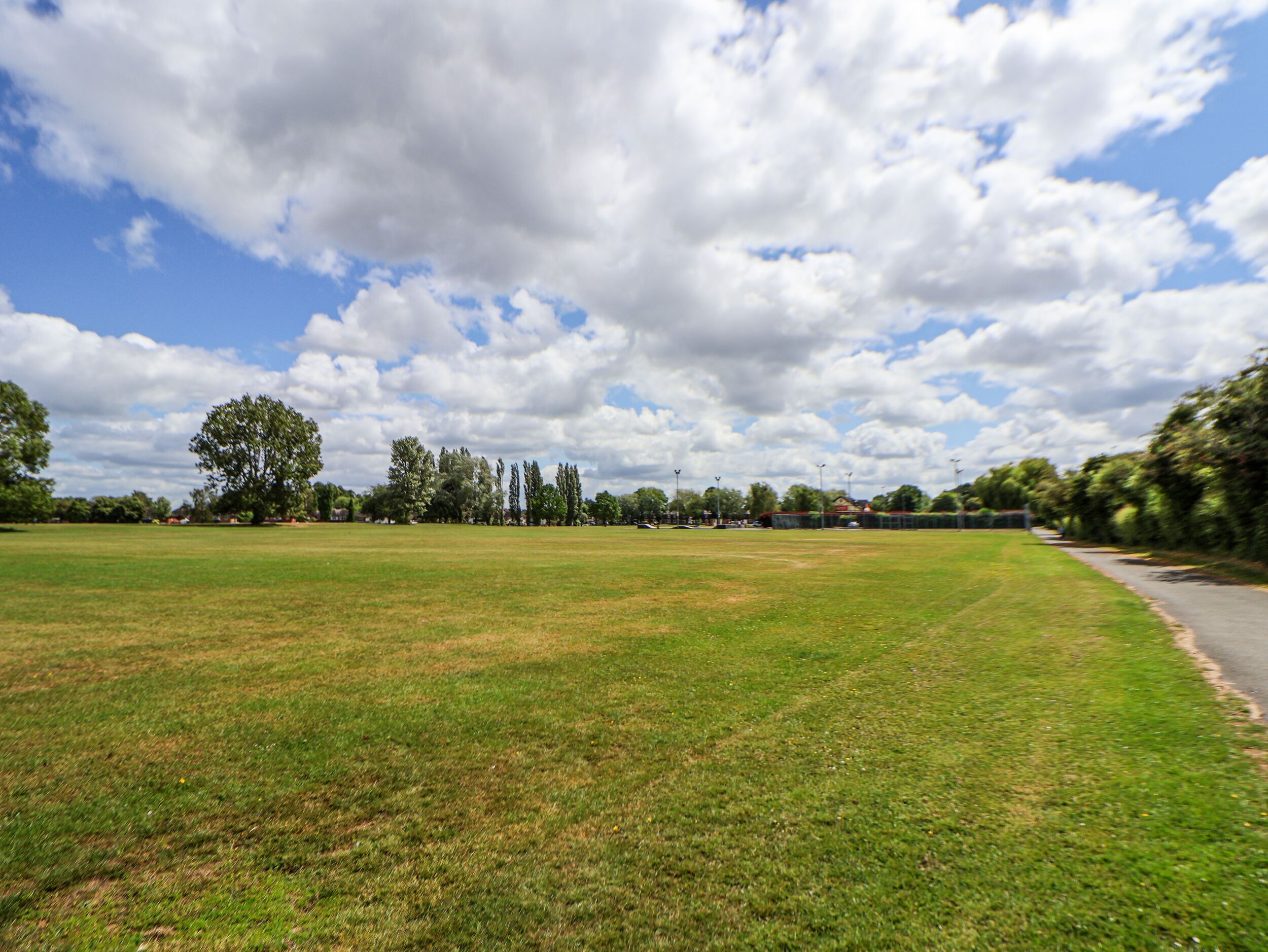 A large open grassy field with trees and a clear sky.