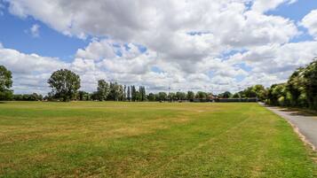 A large open grassy field with trees and a clear sky.