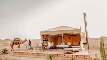 Área da propriedade