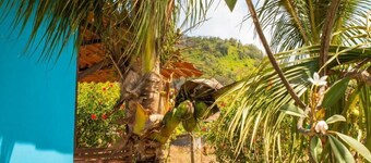 Casa Pitanga Noronha