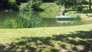 Eine friedliche Seenlandschaft mit einem Boot, das in der Nähe des Ufers liegt, umgeben von üppiger Vegetation und Bäumen.