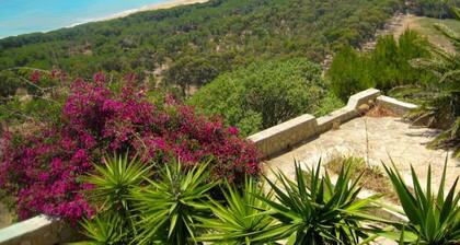 Charming Sicilian Stay 1BR Home in the Heart of Mussomeli