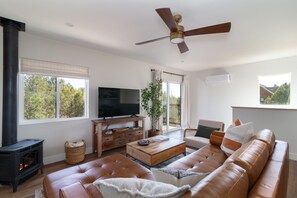 Smart TV, fireplace, books, stereo