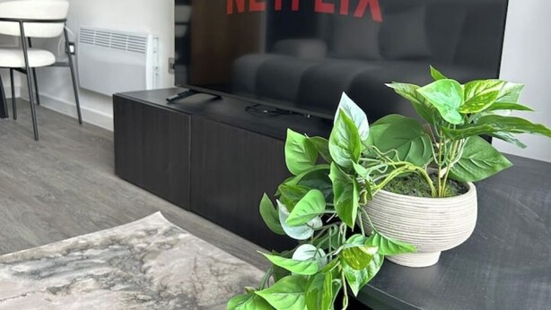 A modern living room with a large flat-screen TV, a dark wooden entertainment unit, a potted plant, and a marble-patterned rug.