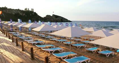 PALM BEACH ŞİLE