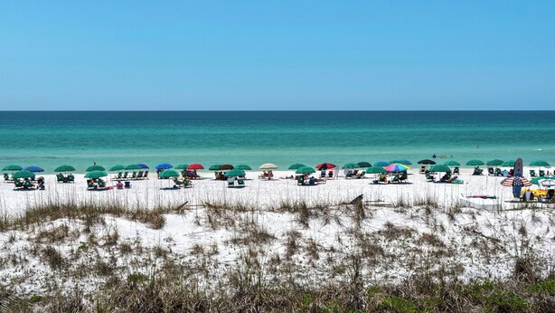 A beach with rows of beach chairs and umbrellas, a sandy foreground with grass, and the ocean in the background.