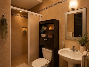 Douche, serviettes fournies, shampooing