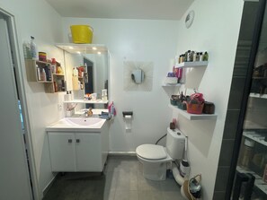 Hair dryer, towels, soap, toilet paper