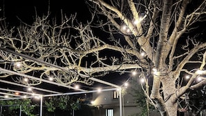 Un arbre aux branches nues, illuminé par des guirlandes lumineuses, dans un espace herbeux, de nuit.