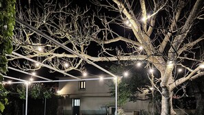 Un arbre décoré de guirlandes lumineuses dans un jardin, la nuit.