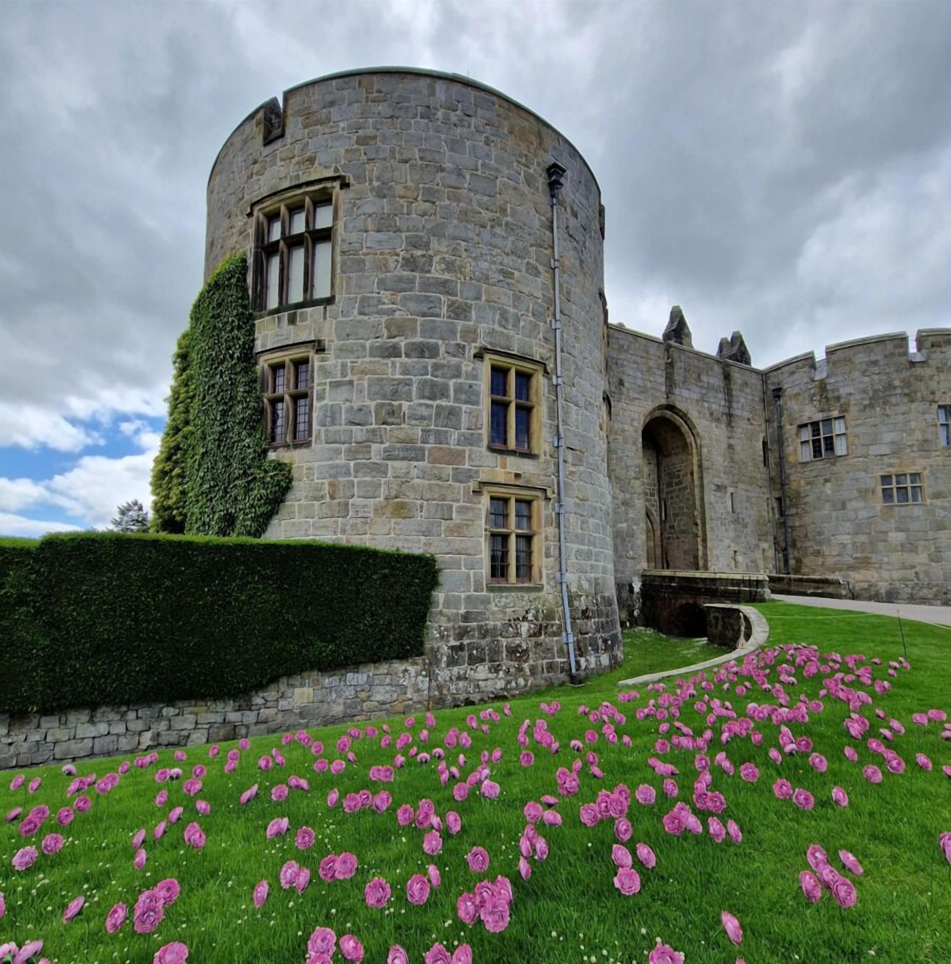A historic stone building with a turret, a well-maintained hedge, and a lawn with pink flowers.