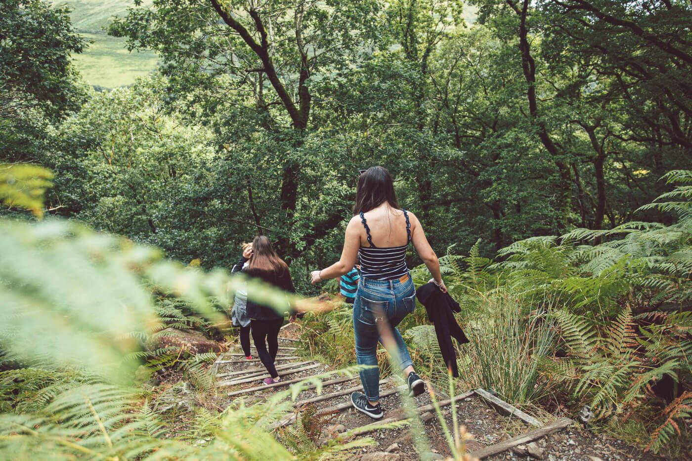 A group of people walking on a wooden bridge surrounded by lush greenery.