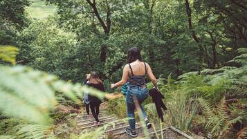A group of people walking on a wooden bridge surrounded by lush greenery.