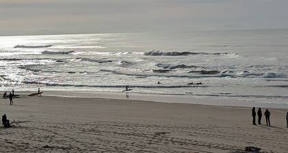 Escape to the heart of the Landes!