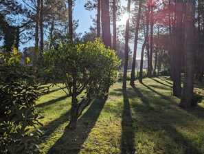 Overnattingsstedets uteområder