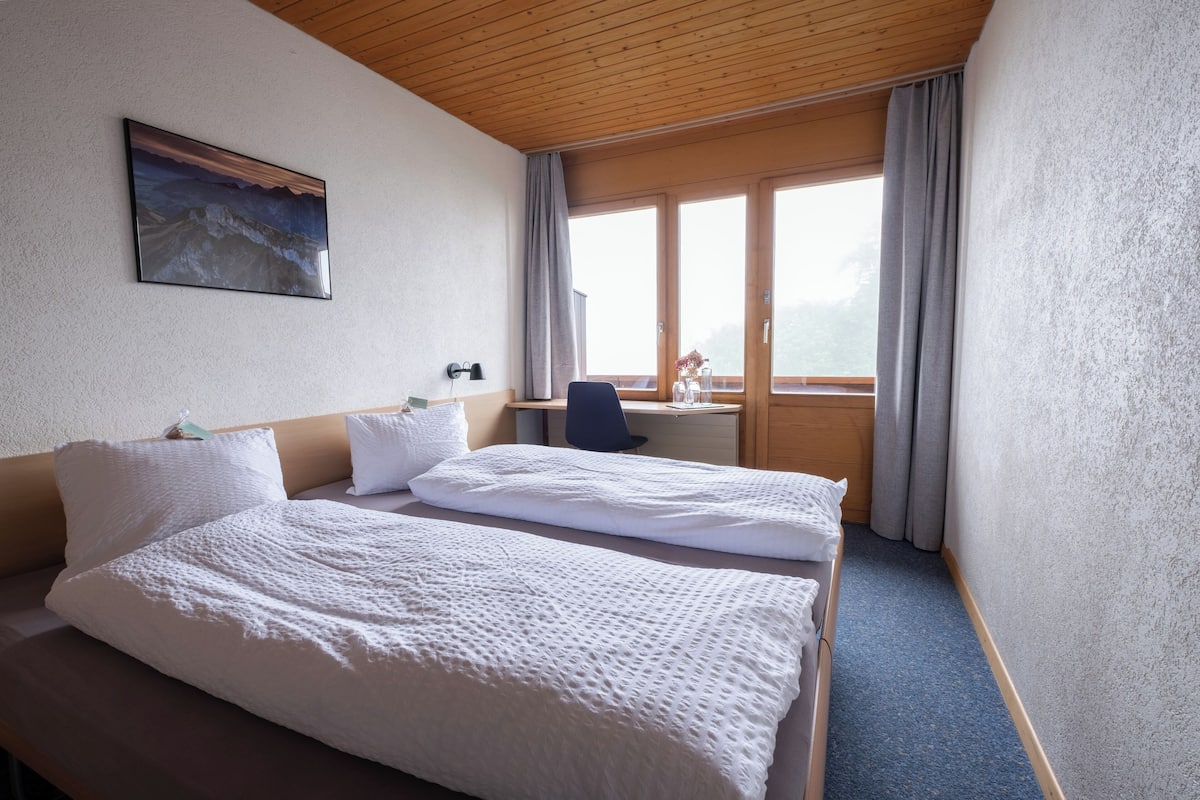 Habitación básica doble, balcón, vista al lago | Wifi gratis y ropa de cama