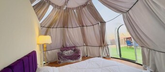 Desert Safari Dubai Over Night Stay #5