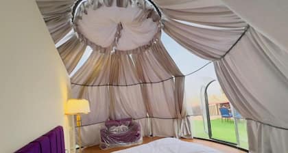 Desert Safari Dubai Over Night Stay #6